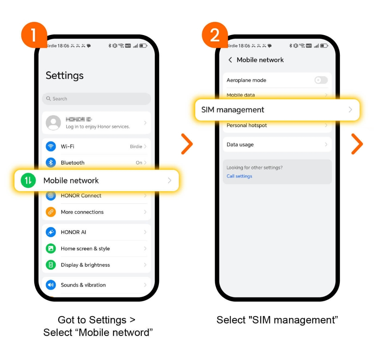 Birdie Mobile eSIM Guide