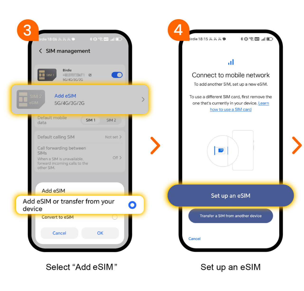 Birdie Mobile eSIM Guide
