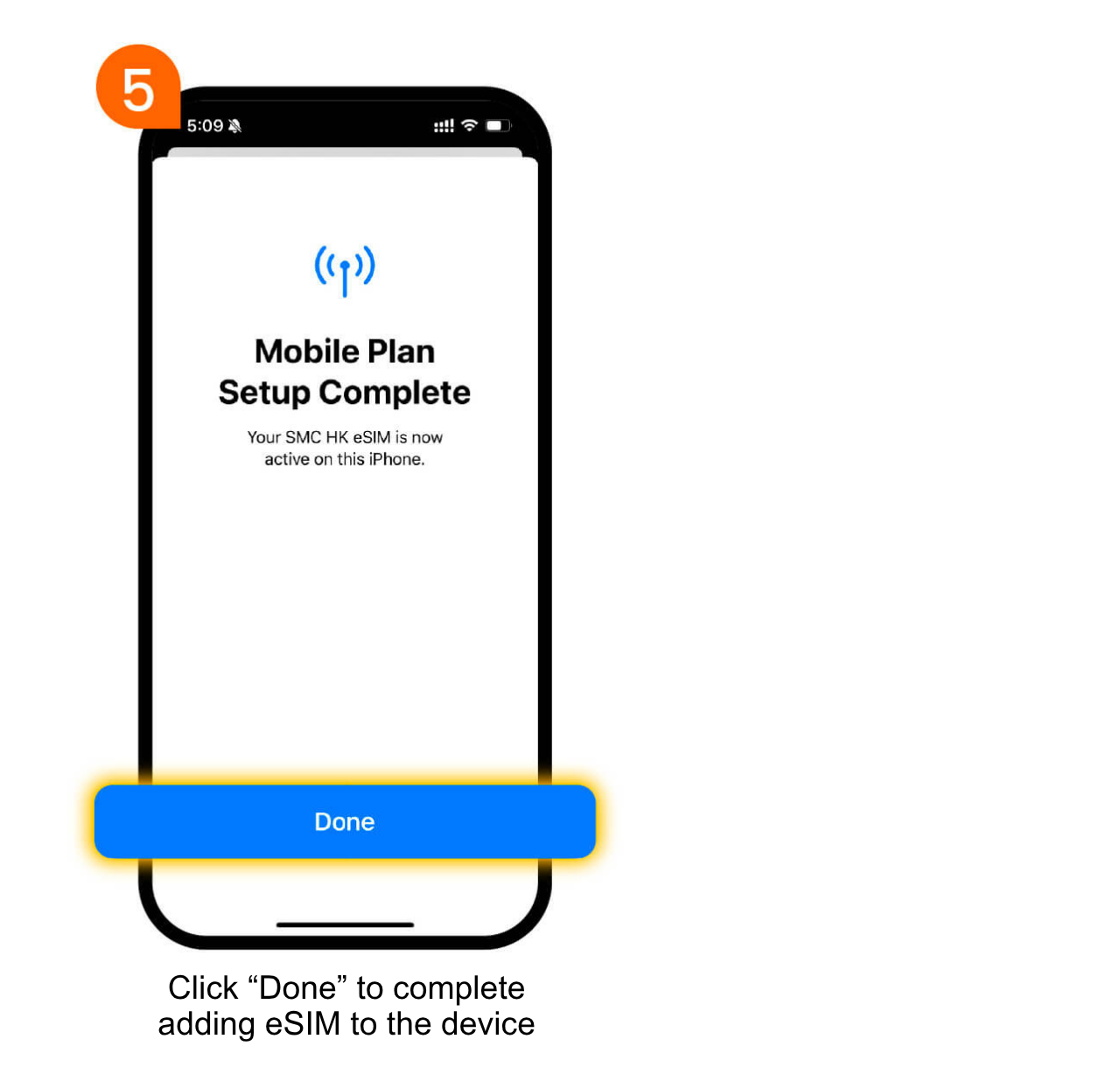 Birdie Mobile eSIM Guide
