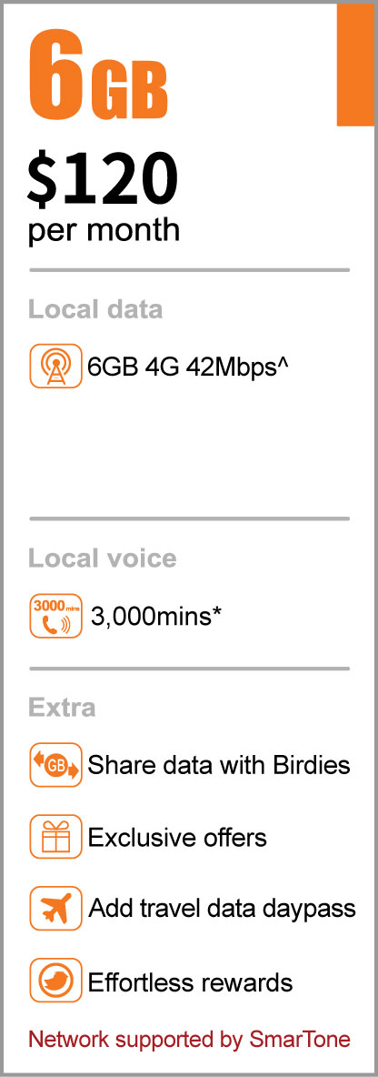 Birdie mobile service 6GB basic plan offer